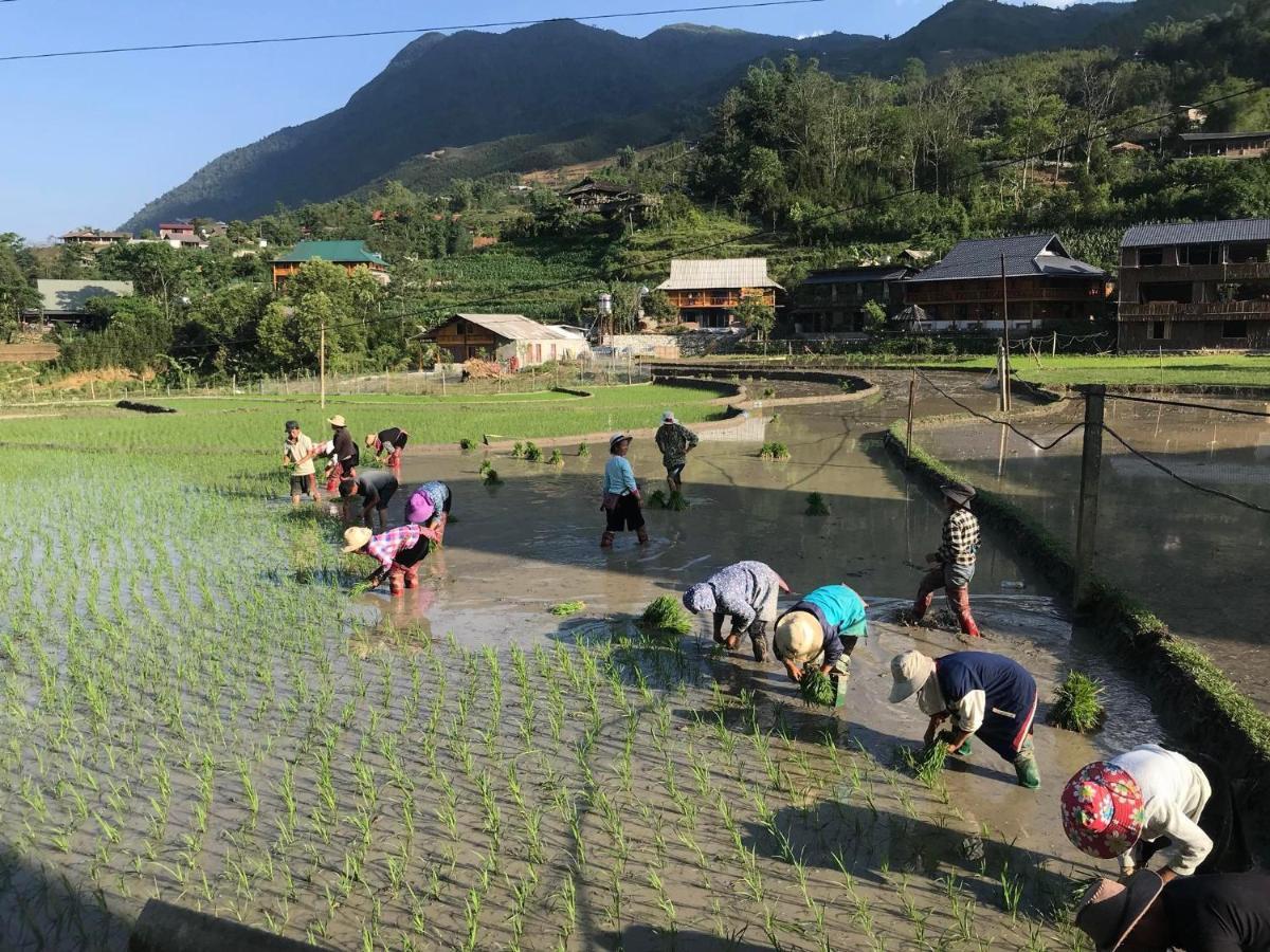 Little Ta Van Homestay Sa Pa Luaran gambar
